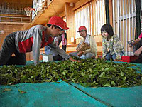 Photo_4